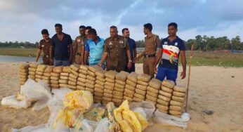 300 கிலோவுக்கும் அதிகமான கஞ்சா தொகை யாழில் பறிமுதல்
