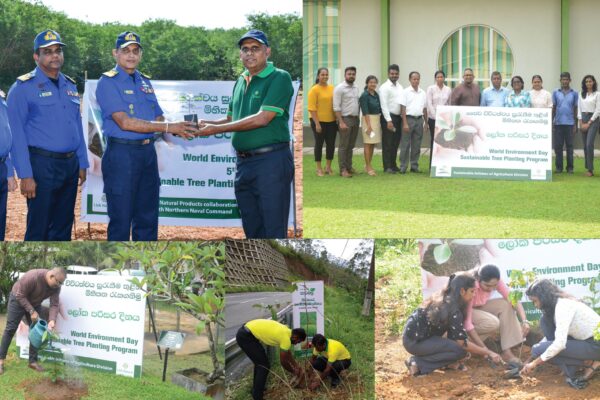 Link Natural Continues to Champion Sustainability for a Greener Sri Lanka