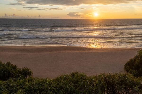 Nyne Hotels Redefines Luxury Through Sustainable Hospitality Practices