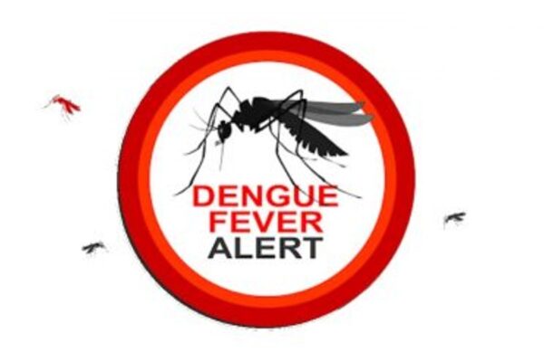 dengue
